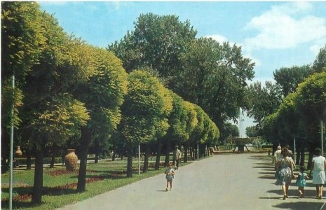 Identifying the state of your Mac: is it dead or alive?